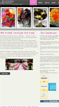 Mobile Screenshot of blossomsorlando.com